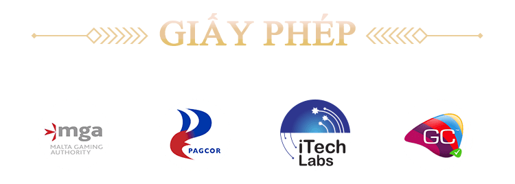 giấy phép